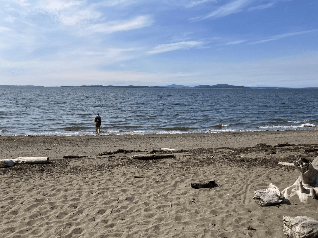 View of the beach in Larrabee State Park