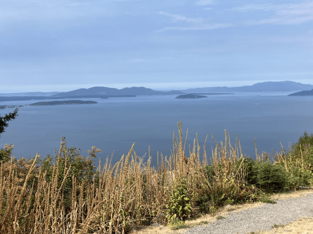 View of the Samish Bay, near the Samish Overlook parking area